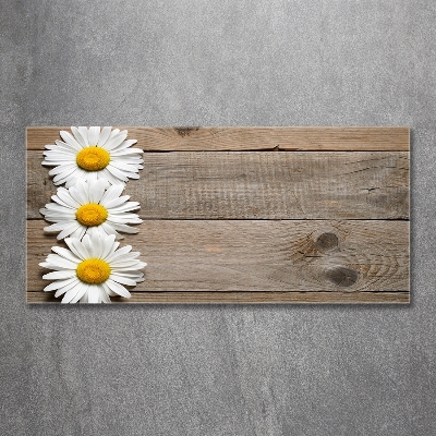 Wall art on glass Daisy wood