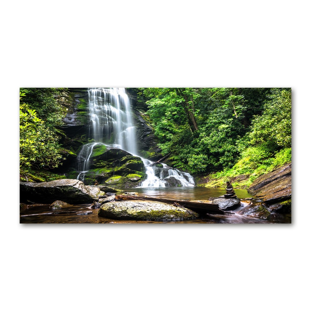 Glass wall art Waterfall in the forest