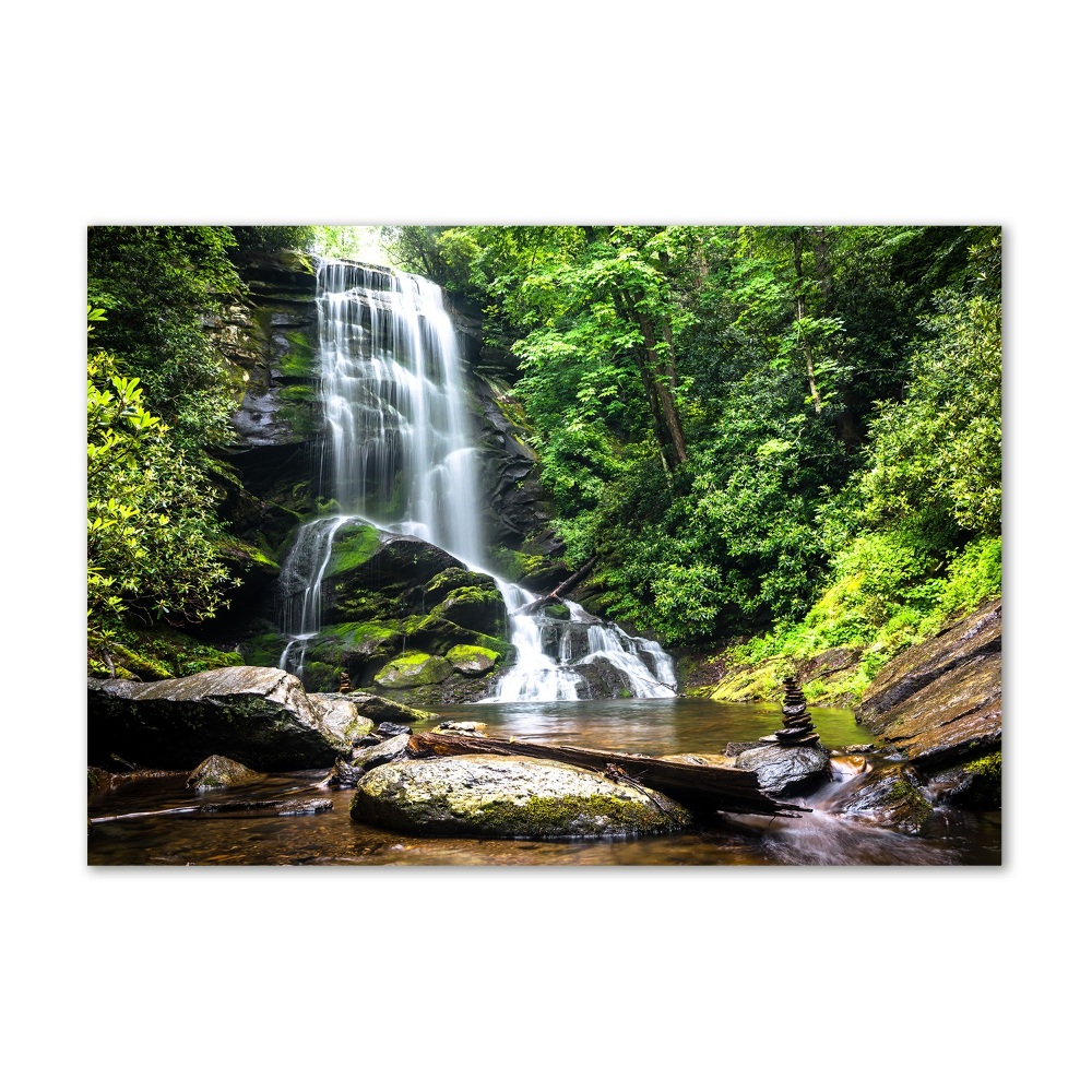 Glass wall art Waterfall in the forest