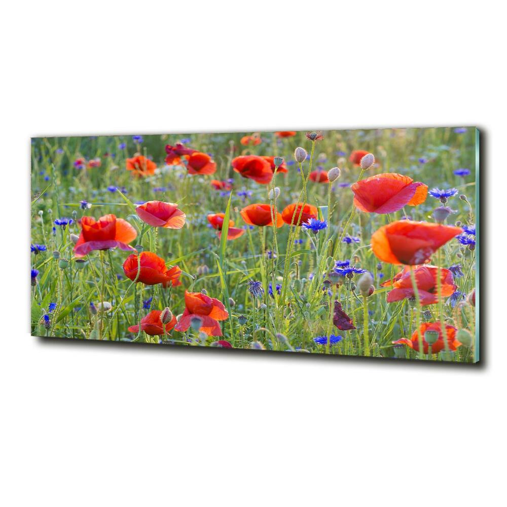 Glass wall art Field flowers