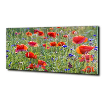 Glass wall art Field flowers