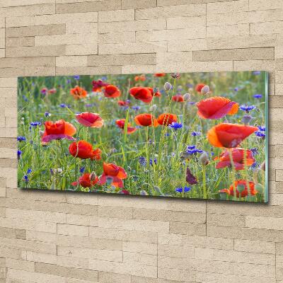 Glass wall art Field flowers