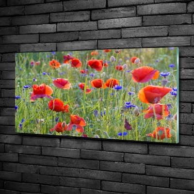 Glass wall art Field flowers