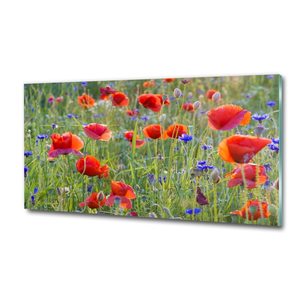 Glass wall art Field flowers