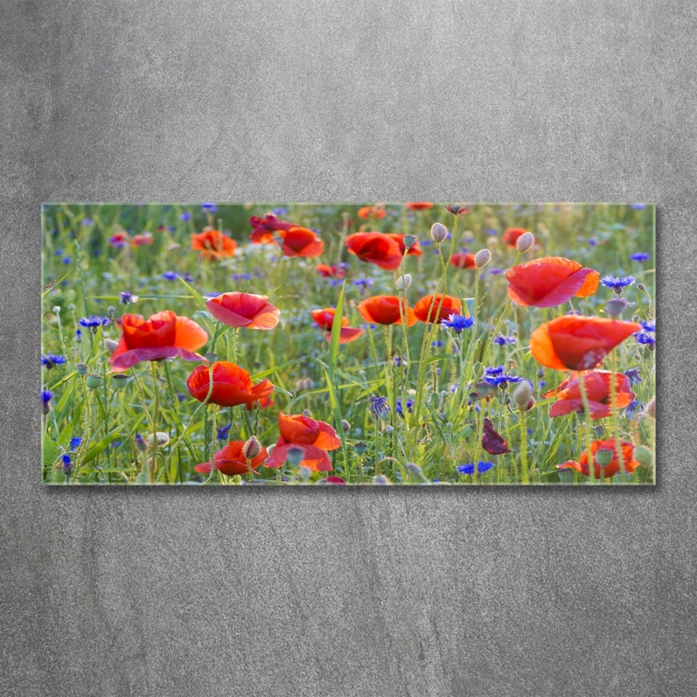 Glass wall art Field flowers