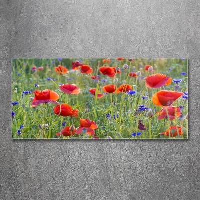 Glass wall art Field flowers