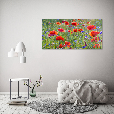 Glass wall art Field flowers