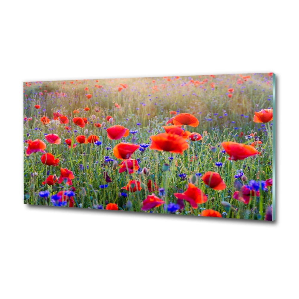 Glass wall art Field flowers