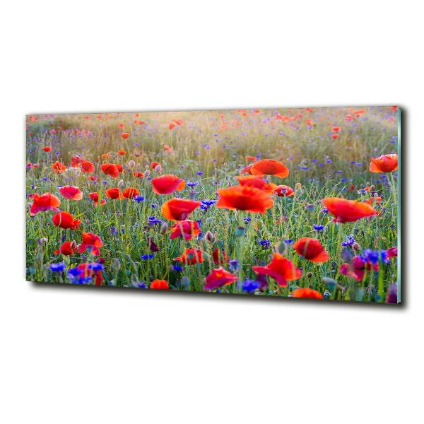 Glass wall art Field flowers