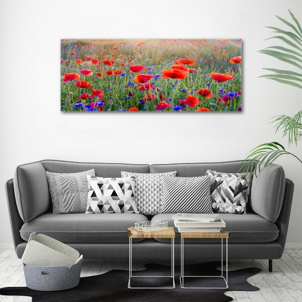 Glass wall art Field flowers