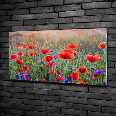 Glass wall art Field flowers