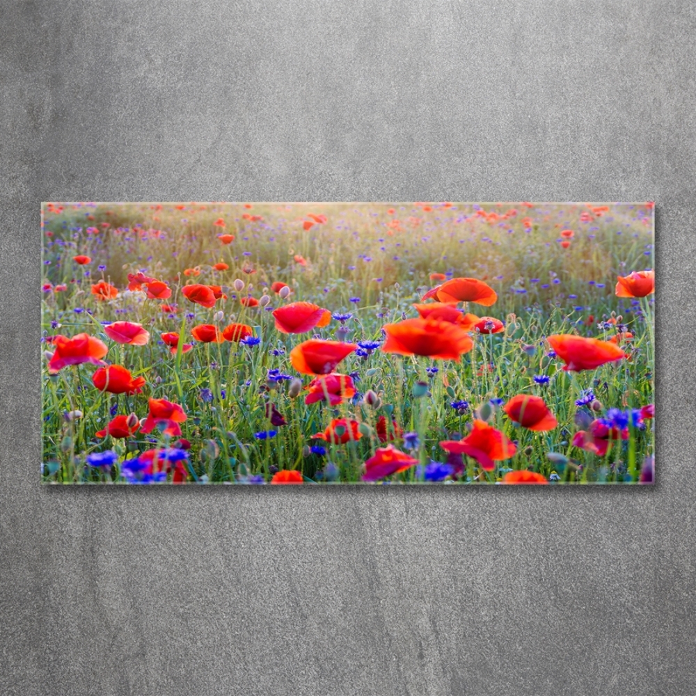 Glass wall art Field flowers