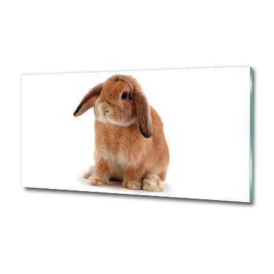 Glass wall art large Rabbit ore