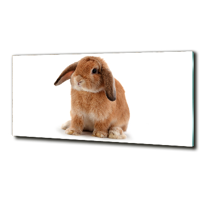 Glass wall art large Rabbit ore