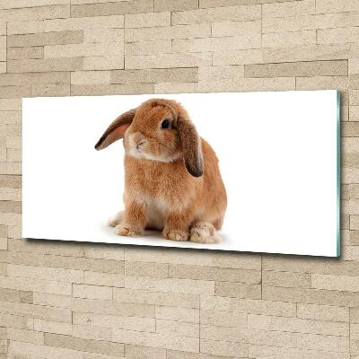 Glass wall art large Rabbit ore