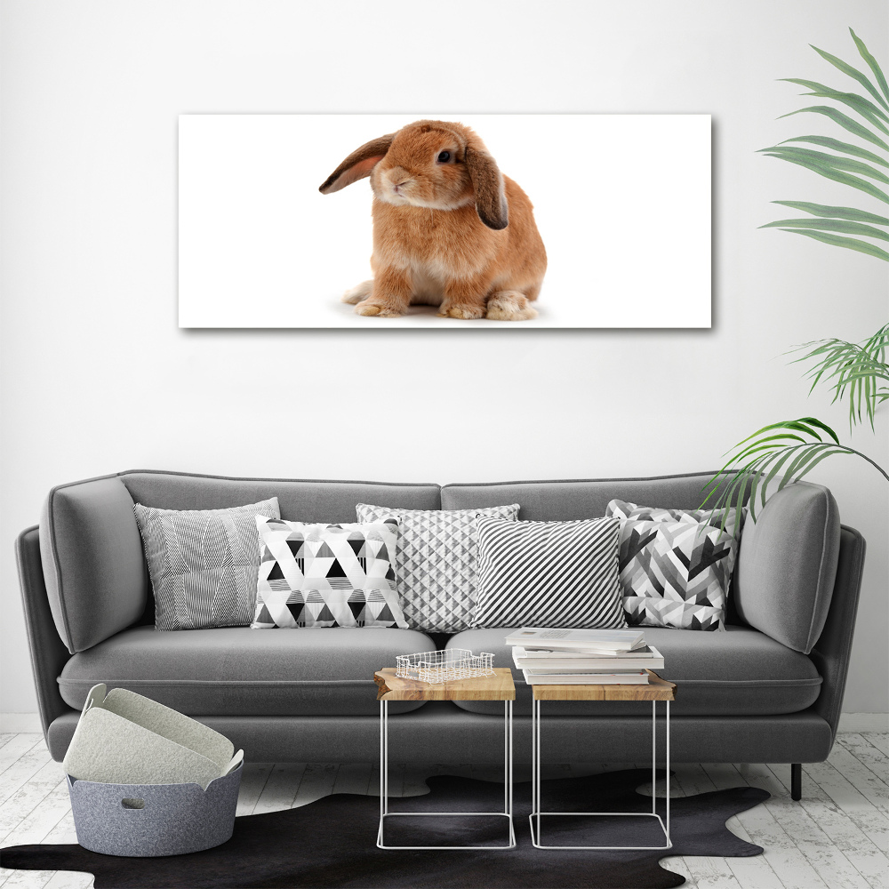 Glass wall art large Rabbit ore