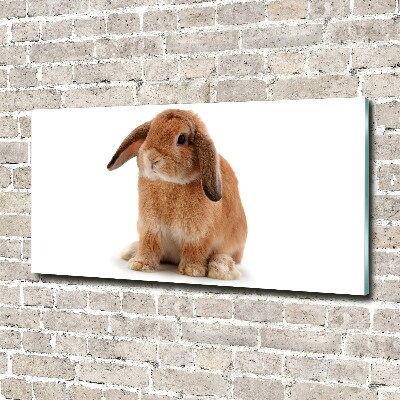 Glass wall art large Rabbit ore