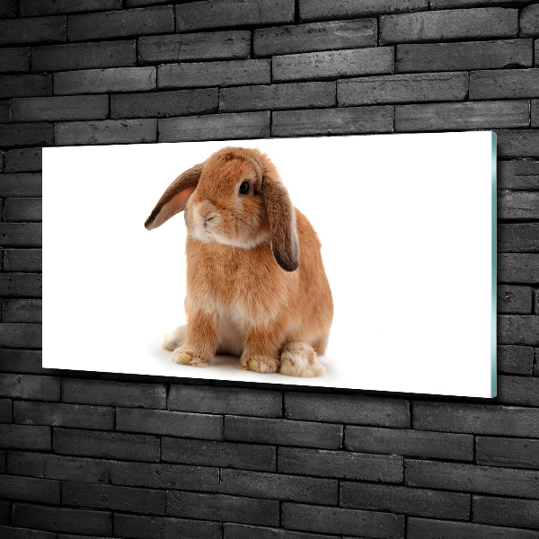 Glass wall art large Rabbit ore