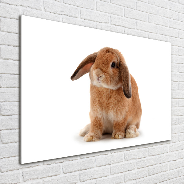 Glass wall art large Rabbit ore