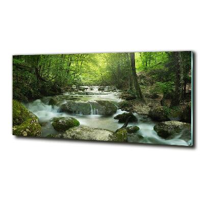 Glass wall art Waterfall in the forest