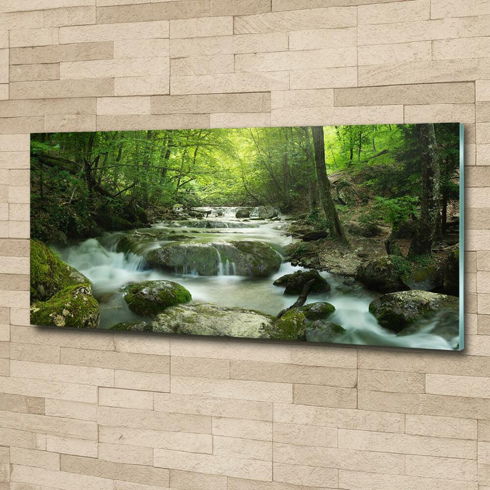 Glass wall art Waterfall in the forest