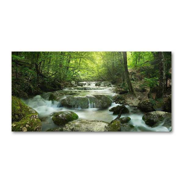 Glass wall art Waterfall in the forest