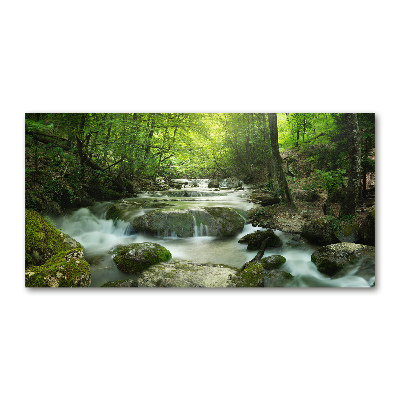 Glass wall art Waterfall in the forest