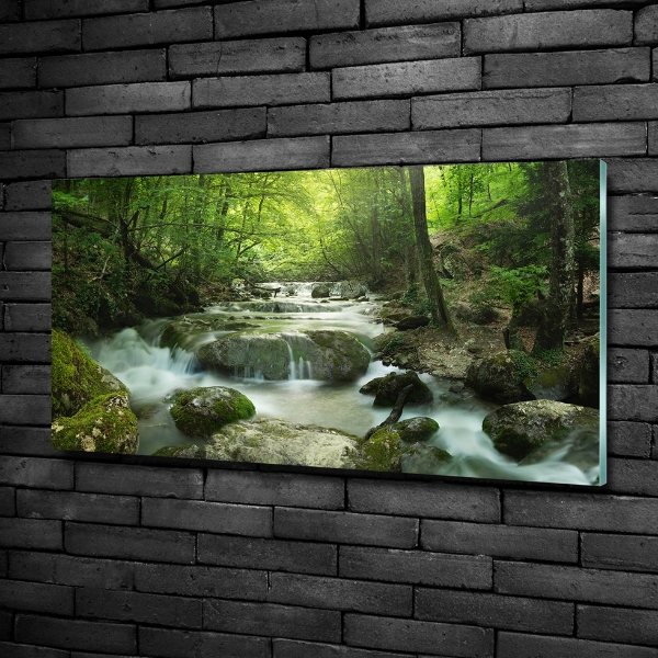 Glass wall art Waterfall in the forest