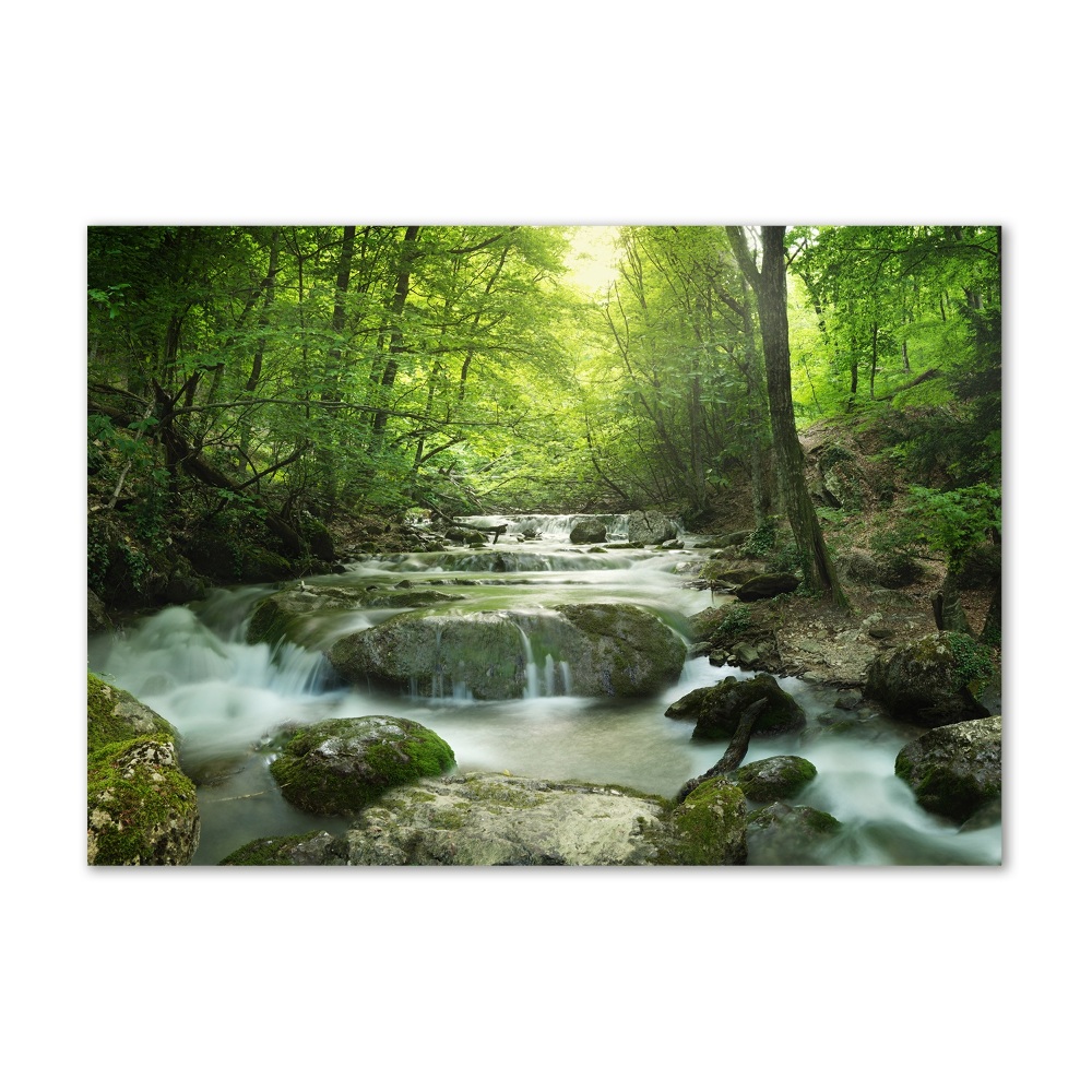 Glass wall art Waterfall in the forest