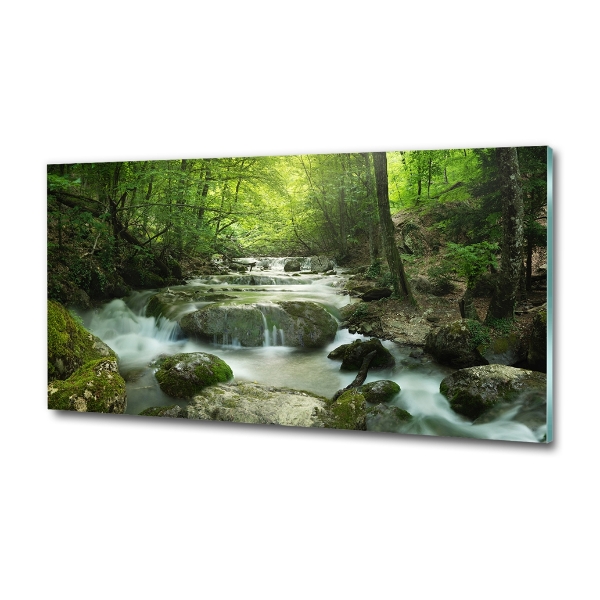 Glass wall art Waterfall in the forest