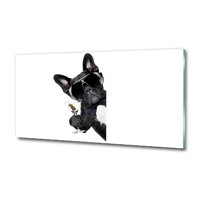 Glass wall art large Martini dog