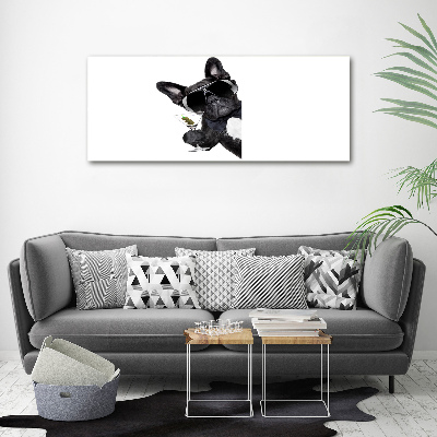 Glass wall art large Martini dog