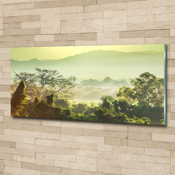 Wall art on glass Jungle