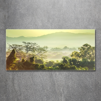 Wall art on glass Jungle