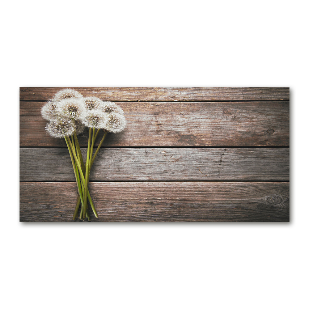 Glass art print Dandelion wood