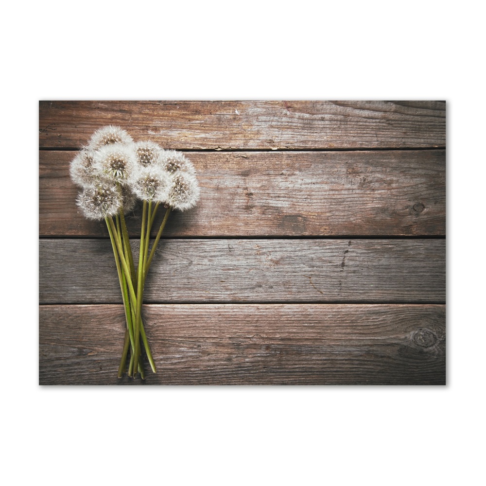 Glass art print Dandelion wood