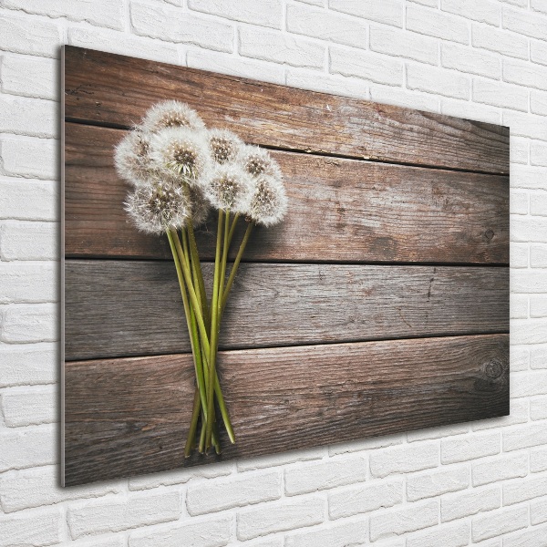 Glass art print Dandelion wood