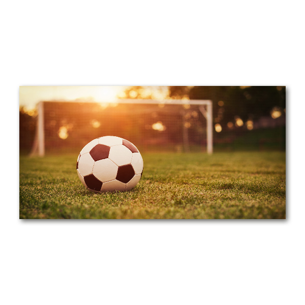 Wall art on glass Ball on the pitch