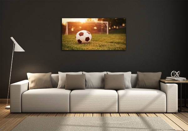 Wall art on glass Ball on the pitch