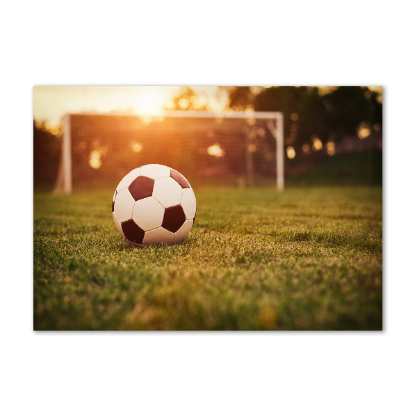 Wall art on glass Ball on the pitch