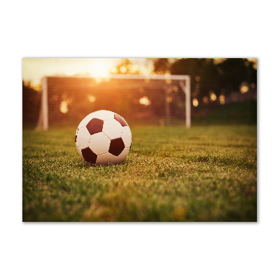 Wall art on glass Ball on the pitch