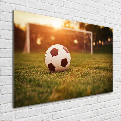 Wall art on glass Ball on the pitch