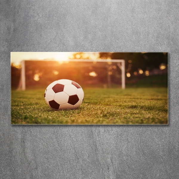 Wall art on glass Ball on the pitch