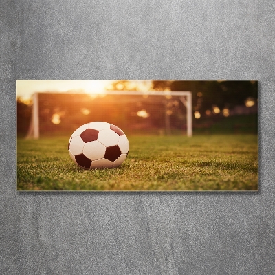 Wall art on glass Ball on the pitch