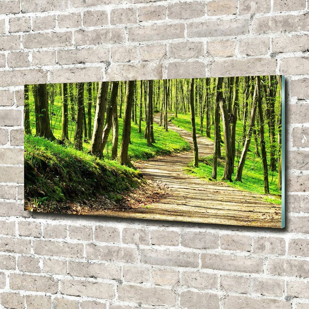 Glass art print Path in the forest