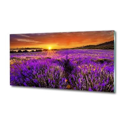 Wall art on glass Lavender field