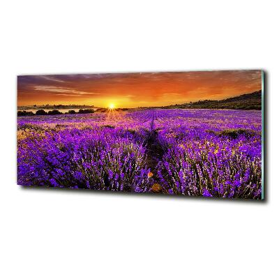 Wall art on glass Lavender field