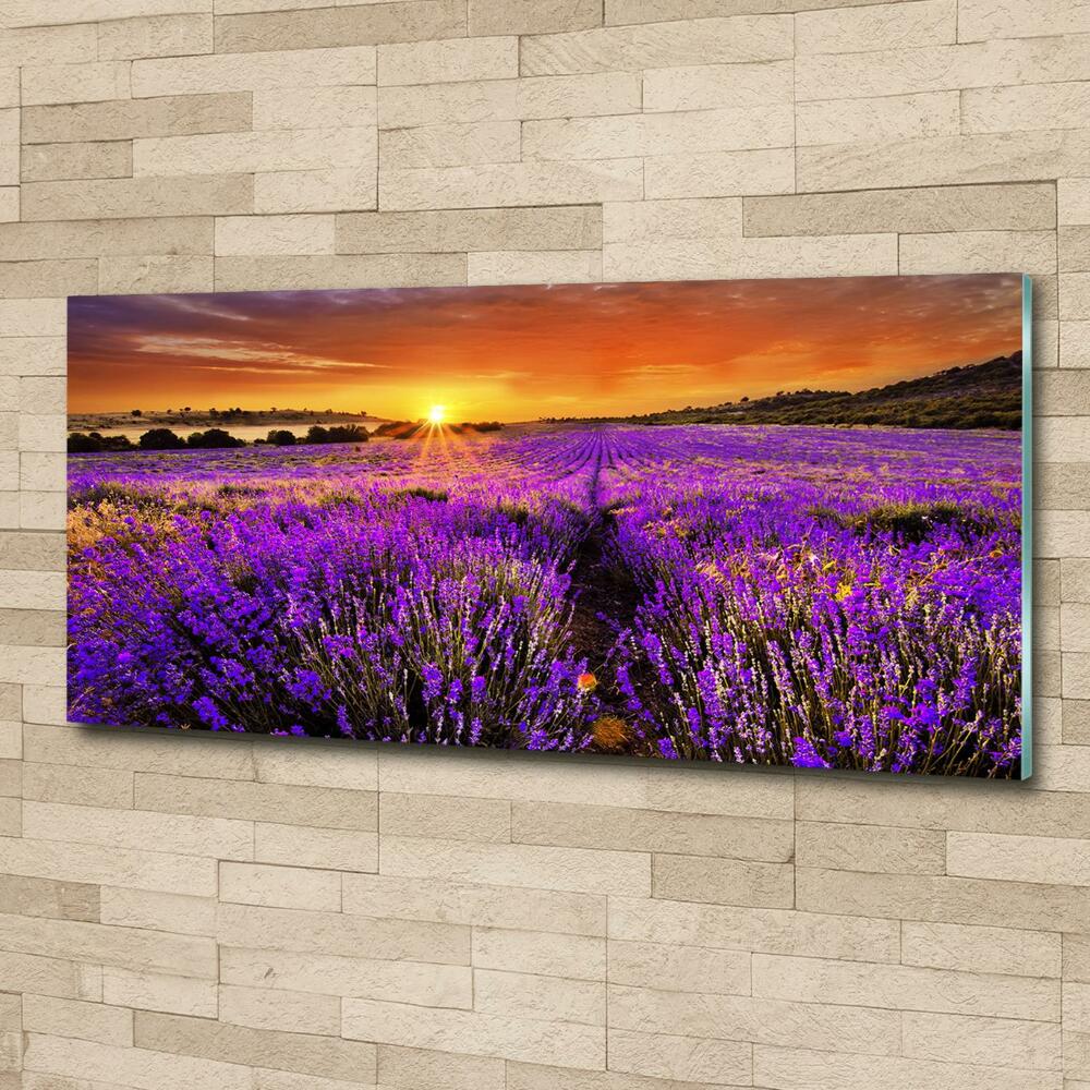 Wall art on glass Lavender field