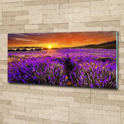 Wall art on glass Lavender field