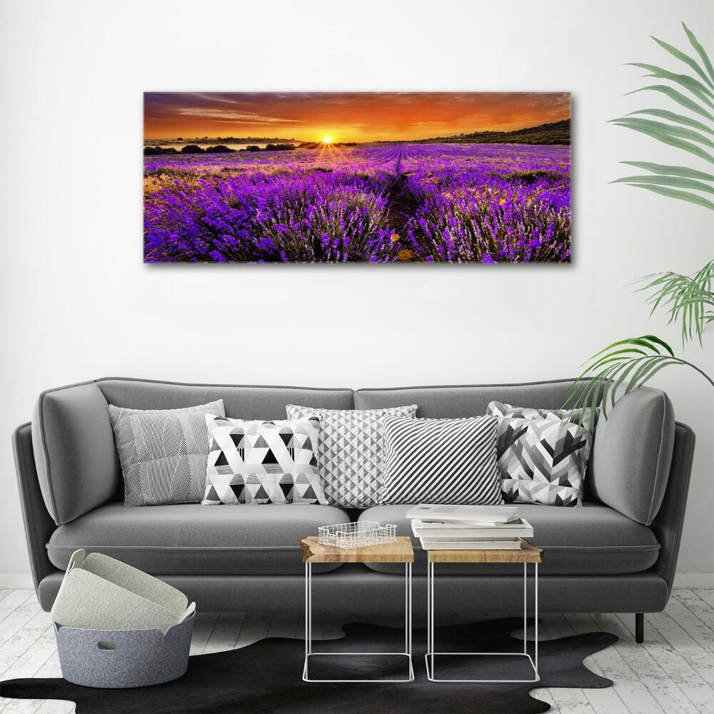 Wall art on glass Lavender field